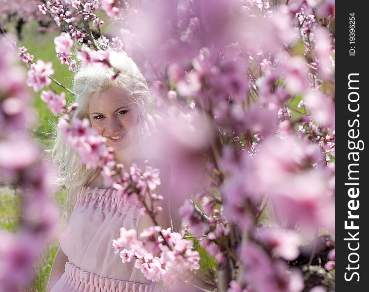 Portrait of Young pretty blond woman wearing pink dress in peach blooming garden. Portrait of Young pretty blond woman wearing pink dress in peach blooming garden