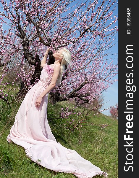 Outdoor shot   of Young pretty blond woman wearing pink dress  in peach blooming garden with her eyes closed. Outdoor shot   of Young pretty blond woman wearing pink dress  in peach blooming garden with her eyes closed