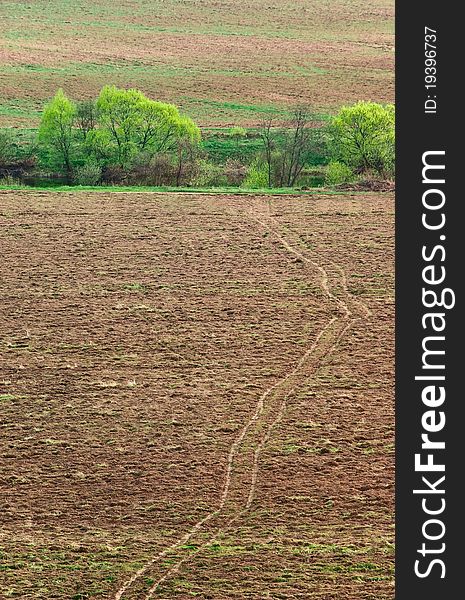 Trace of tires of the car on the plowed field. Trace of tires of the car on the plowed field