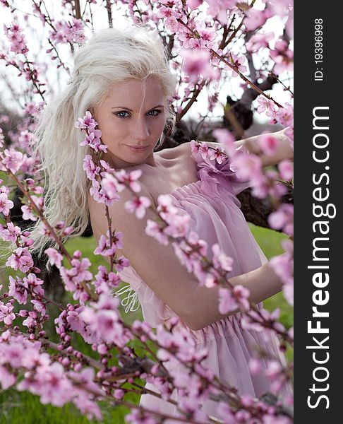 Portrait  of Young pretty blond woman wearing pink dress  in peach blooming garden with the peach petals in her hands. Portrait  of Young pretty blond woman wearing pink dress  in peach blooming garden with the peach petals in her hands