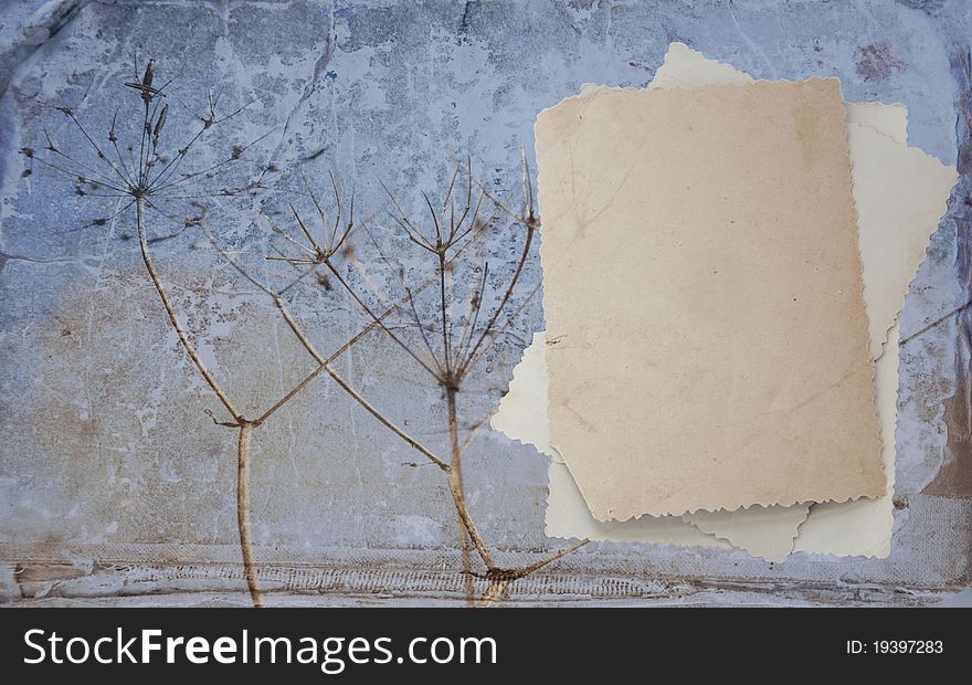 Retro background with herbarium and old photo. Old book texture