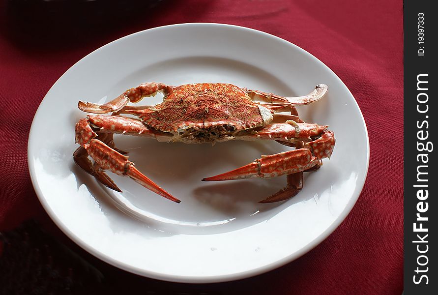 Boiled red crab on the white plate. Boiled red crab on the white plate.