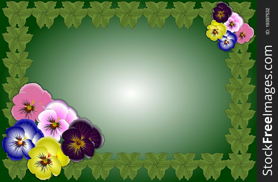 Pansy flowers in five different colors with leaf border and white green background. Pansy flowers in five different colors with leaf border and white green background