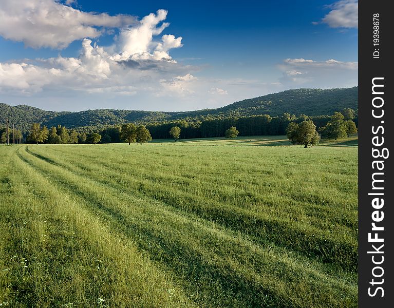 Green meadows and forested hills