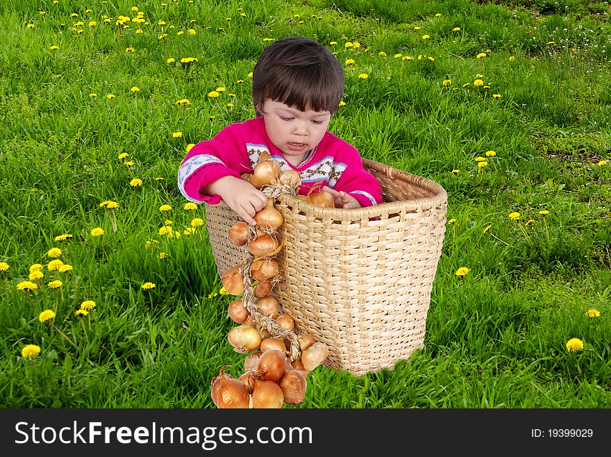 The little girl sits in a basket with an onion. The little girl sits in a basket with an onion.