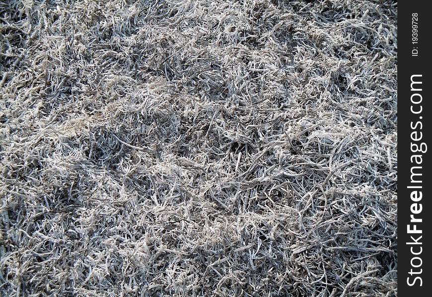 Ashes of burnt grass on the field