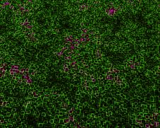 Green Lines Royalty Free Stock Image Green Lines Royalty Free Stock Image