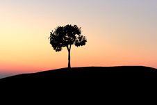 Lonely Tree On Sunset Background Stock Photography Lonely Tree On Sunset Background Stock Photography