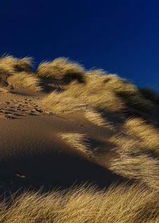 Dune Royalty Free Stock Photo