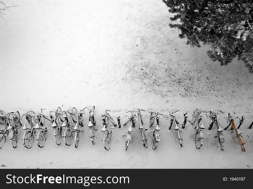 A row of bikes covered in snow. A row of bikes covered in snow