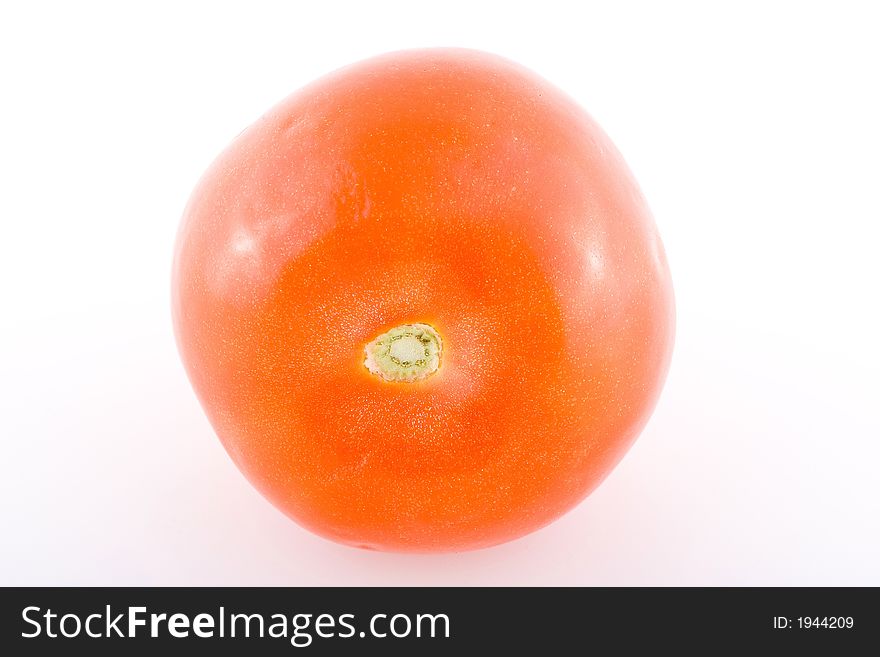 Shoot of tomato on a white background.