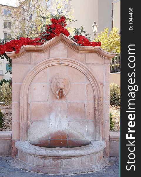 A water fountain in the shape of a lion