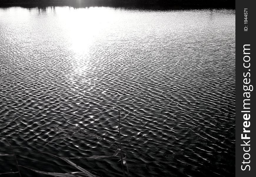 Ripples on a pond during a windy day. Ripples on a pond during a windy day.