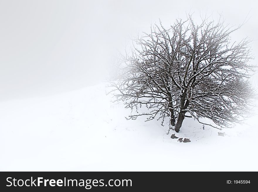 Winter landscape under the falling snow