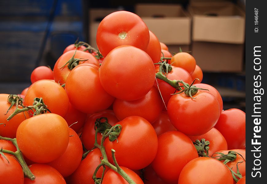 Red color fresh  tomatoes stock