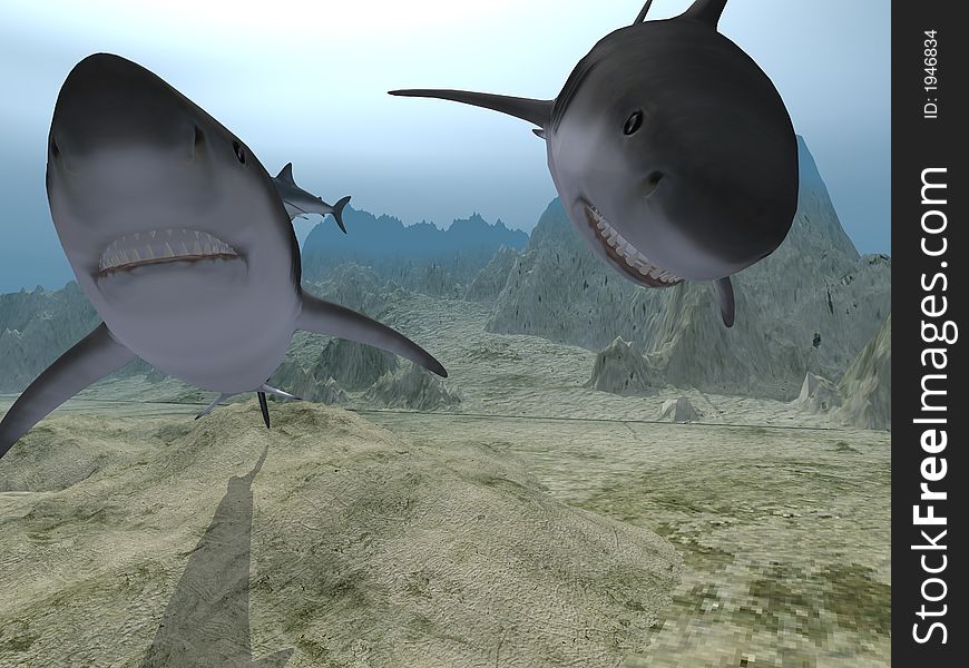 Sharks in water (three sharks in various poses)