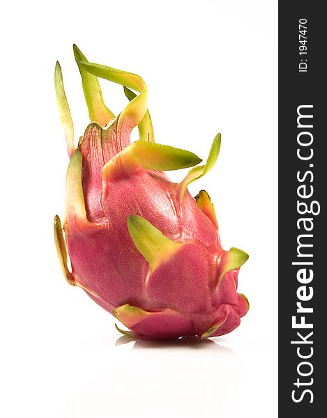 Pitahaya Red  Hylocereus Polyrhizus