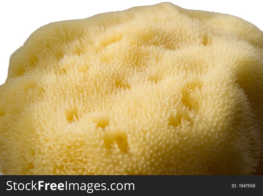 Brightly lit natural mediterannean sponge isolated on white. Brightly lit natural mediterannean sponge isolated on white