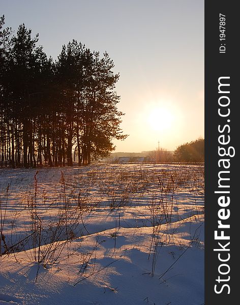 Sun setting over a field covered with snow. Sun setting over a field covered with snow