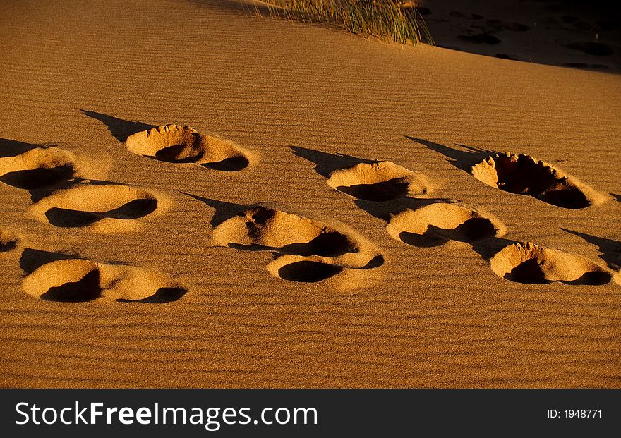 Footprints on the sand dune