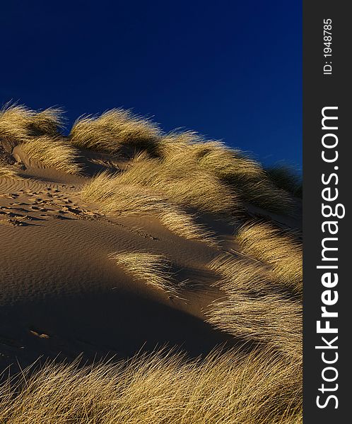 Sand dune , grass and dark blue sky