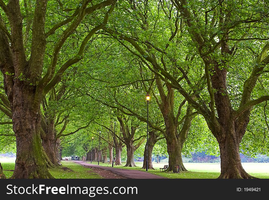 A photo of a park in Cambridge in springtime