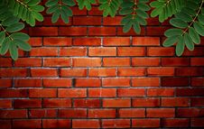 Green Leaf With Water Droplets On Brick Wall Stock Photography