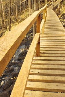 Wooden Path Royalty Free Stock Photos