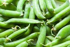 Green Peas Stock Photo Green Peas Stock Photo