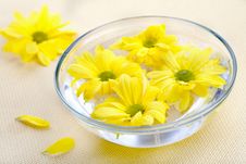 Yellow Flowers In Glass Bowl Royalty Free Stock Photo