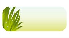 Shiny Fresh Grass Banner Stock Image