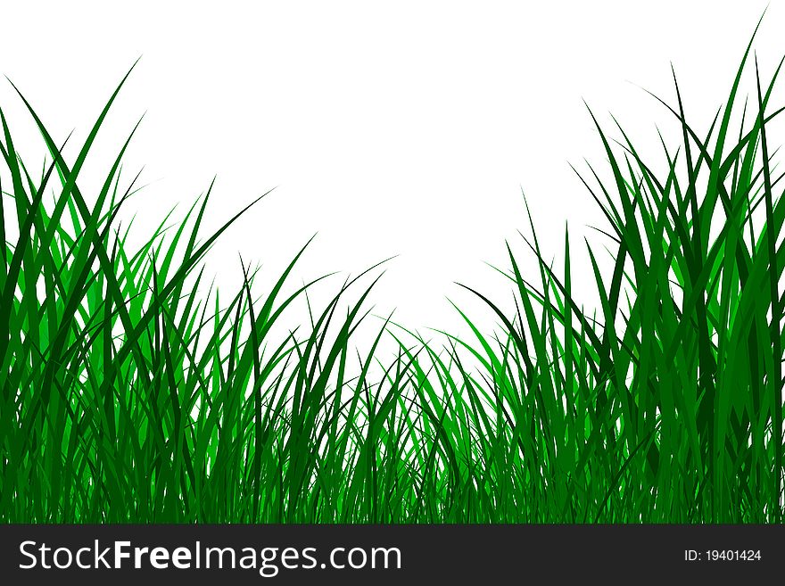 Green grass illustrated on white background. Green grass illustrated on white background
