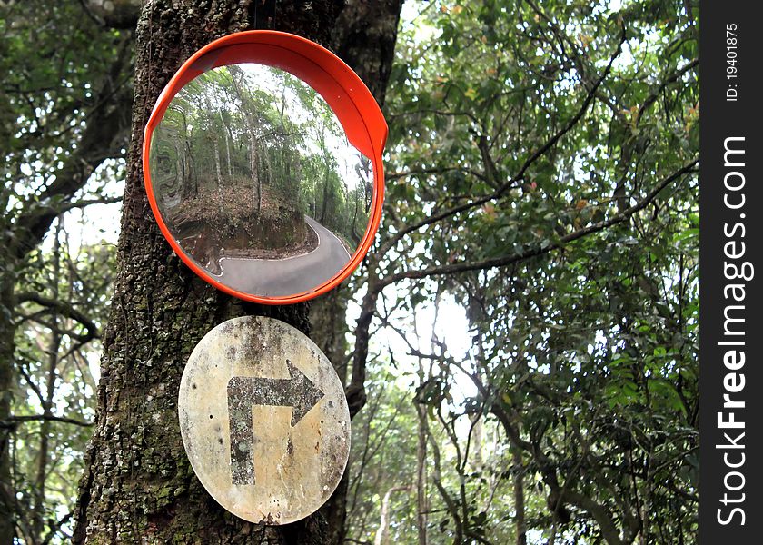 Curved Road Traffic Sign and mirror