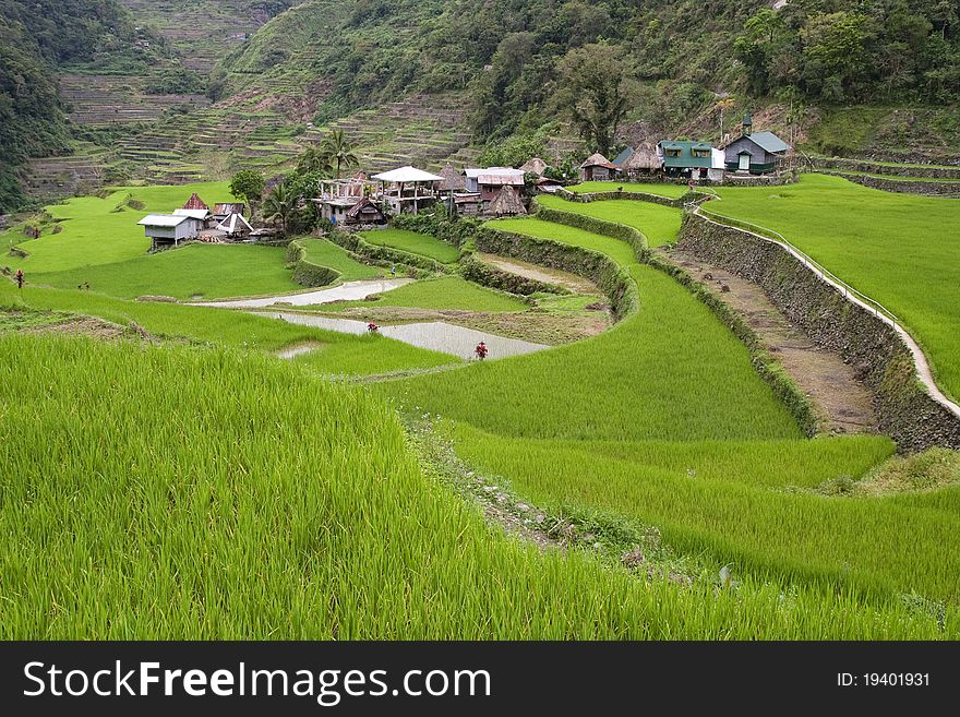 Traditional village surrounded by rice fields registered at the Unesco world heritage, in Luzon Island, Philippines