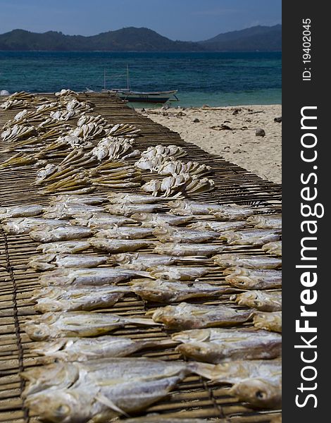 Drying fishes in the sun, Palawan archipelago, Philippines