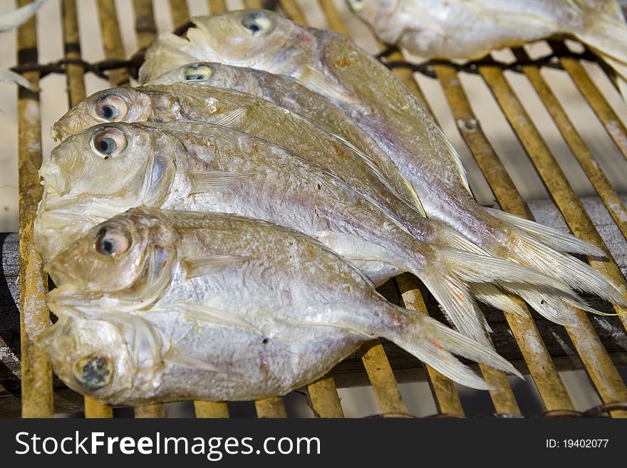 Drying fishes in the sun, Palawan archipelago, Philippines