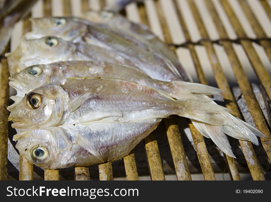 Drying fishes