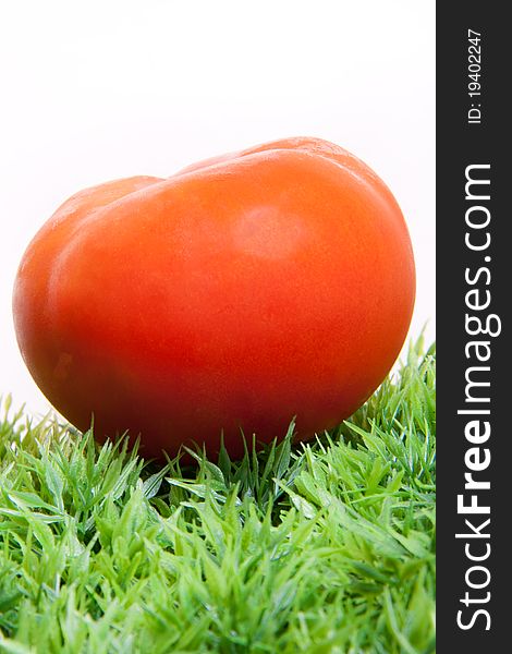 Red Fresh Tomato on Green Grass