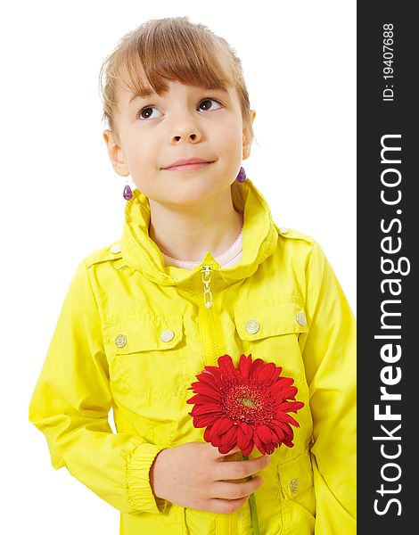 Pleading sweet little girl wearing yellow jacket standing and holding red flower. Pleading sweet little girl wearing yellow jacket standing and holding red flower.