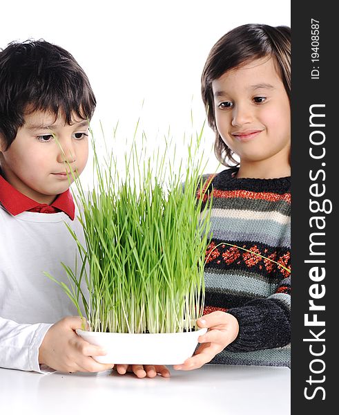 Two boys with green grass in hands