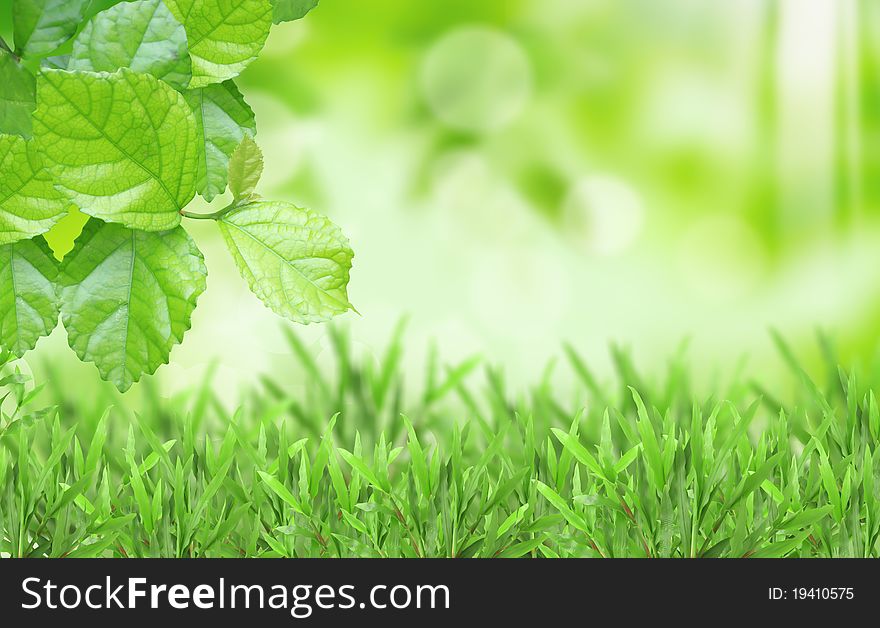 Natural Green Blurred Background - Free Stock Images & Photos - 19410575 |  
