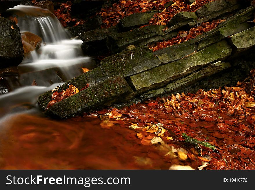 Autumn stream with leaves and rocks.