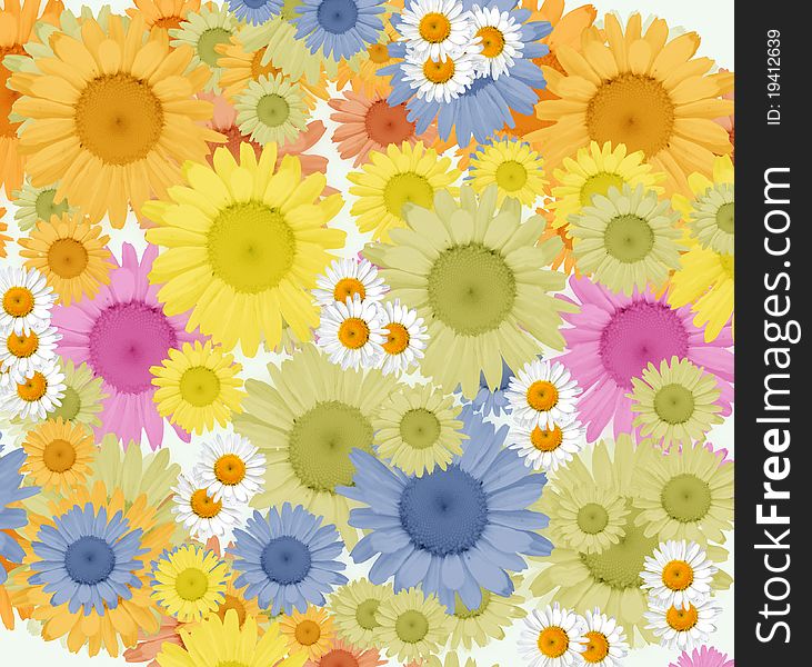 Bright background full of spring flowers. Bright background full of spring flowers