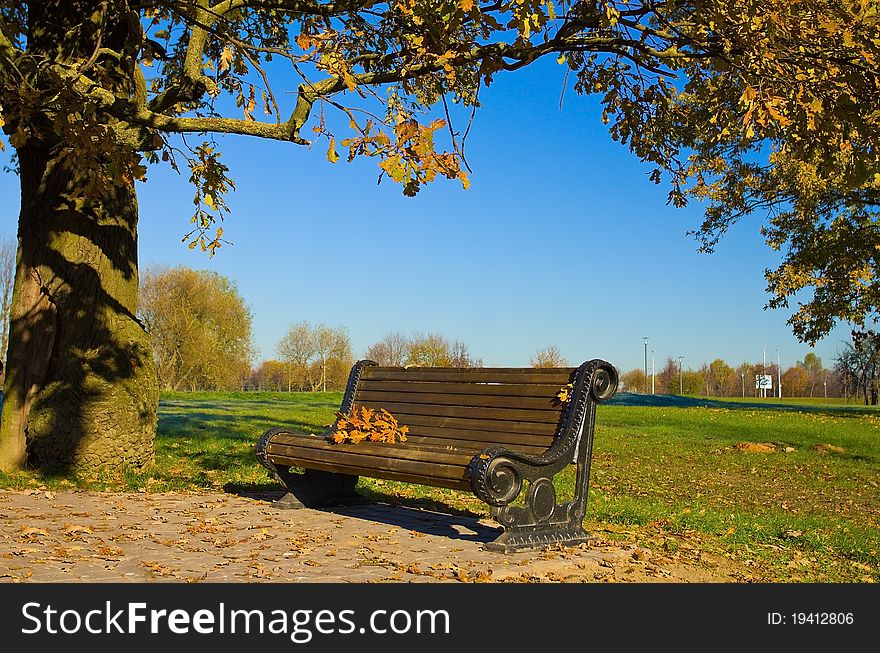 Bench In Autumn Park