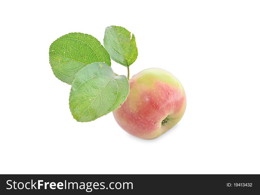 Three ripe apple. juicy apples. Small red apples. Forest apples. Fruit on a white background.