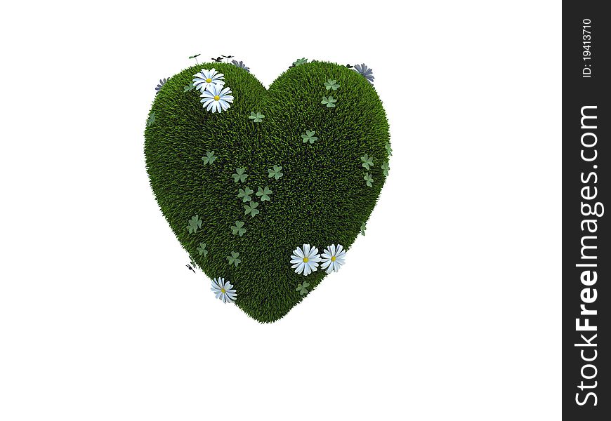 A Heart made of green grass, clover and buttercup isolated over white. A Heart made of green grass, clover and buttercup isolated over white