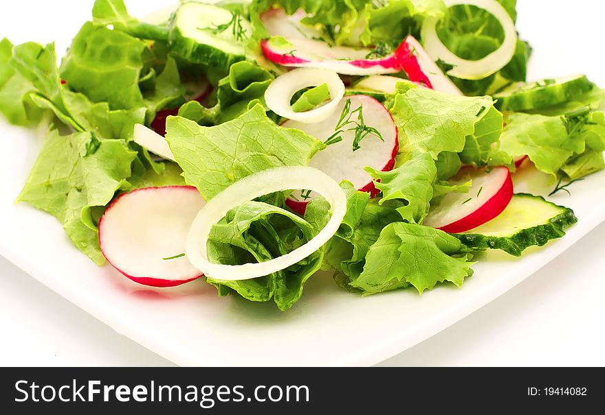 Fresh salad with radish, lettuce and cucumber