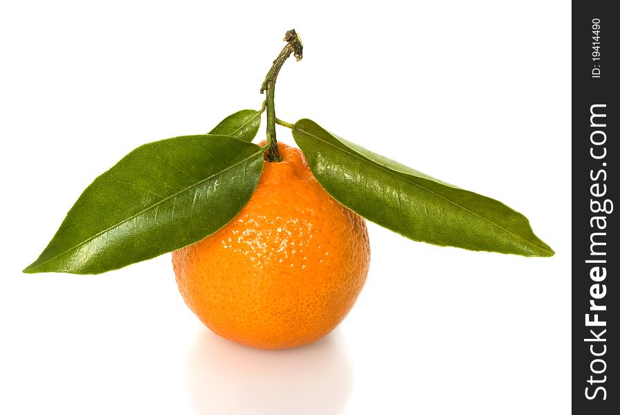 Ripe tangerine with green leaves on a white background