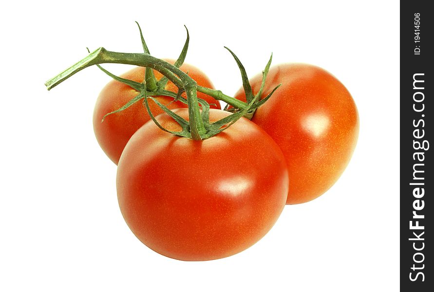 Three red ripe tomatoes with the leaves, isolated