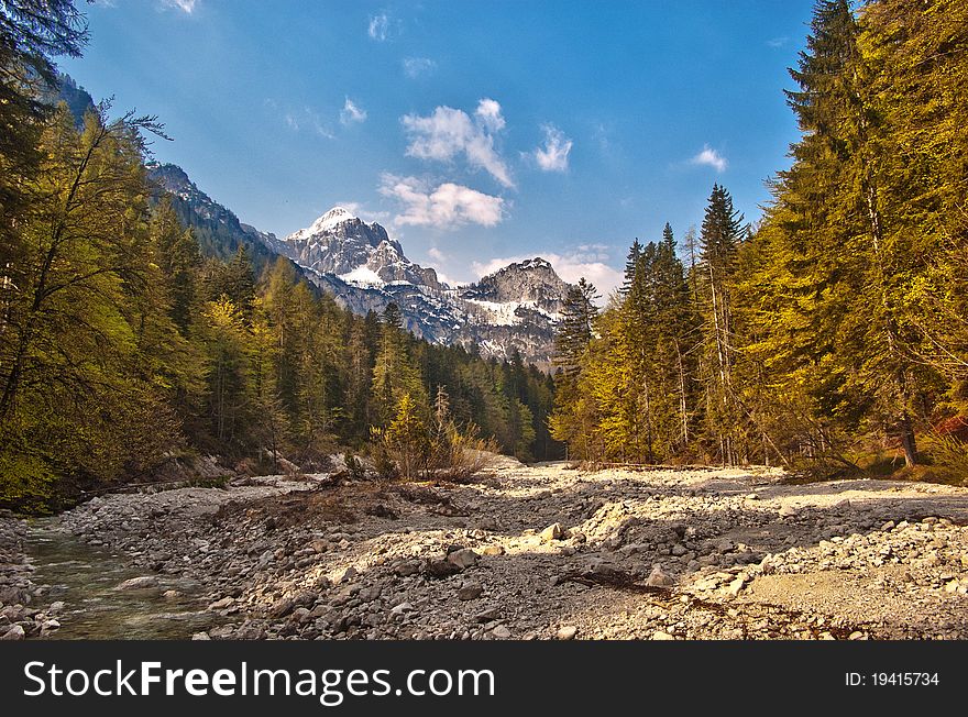 Photo of wildlife valley in Slovenian Alps